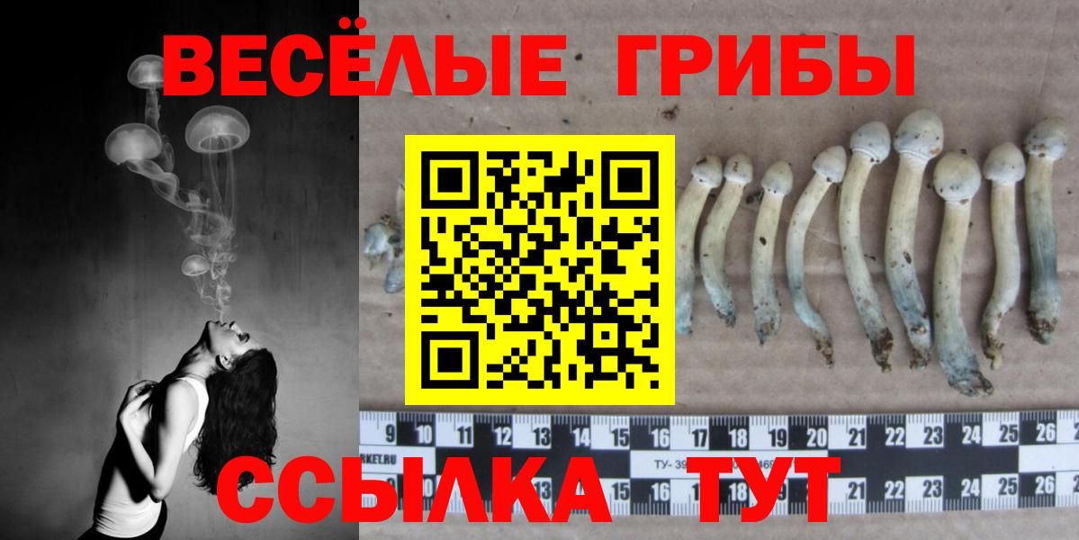Междуреченск  Псилоцибиновые грибы GOLDEN TEACHER  купить  цена  Вход с VPN 