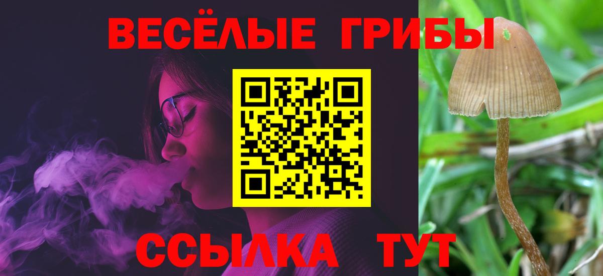 Псилоцибиновые грибы мицелий Междуреченск